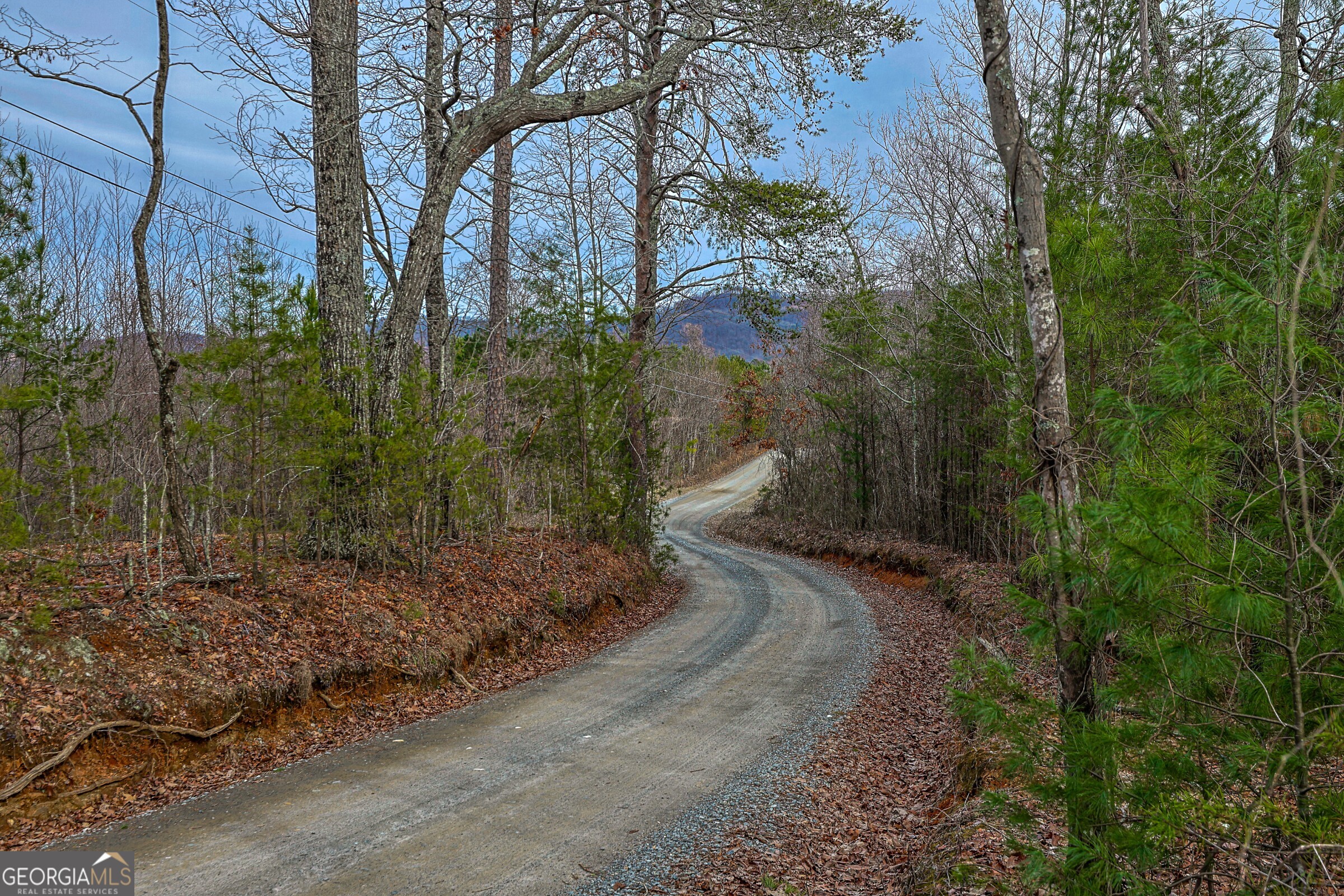 0 Trout Farm Road Talking Rock, GA 30175 - Photo 43 of 43 a view of a yard with plants and large trees