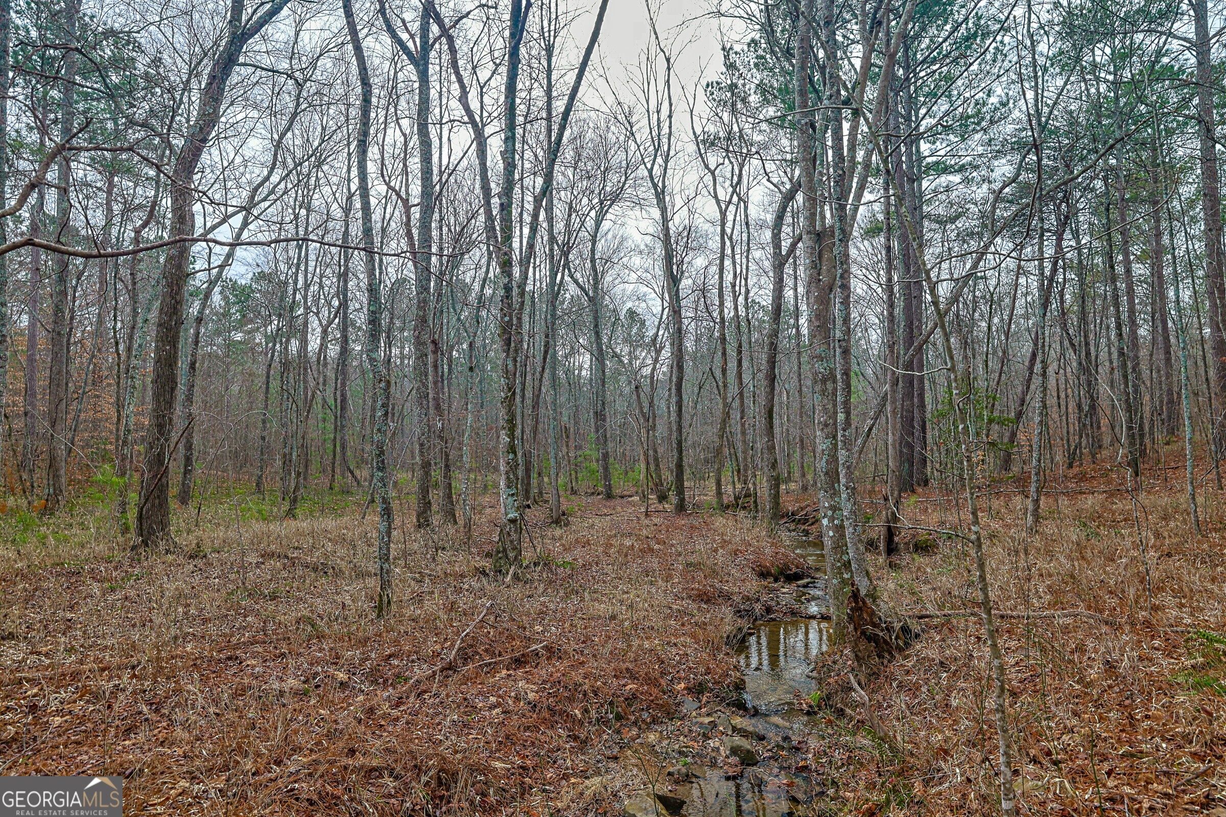 0 Trout Farm Road Talking Rock, GA 30175 - Photo 5 of 43 a view of outdoor space with green space