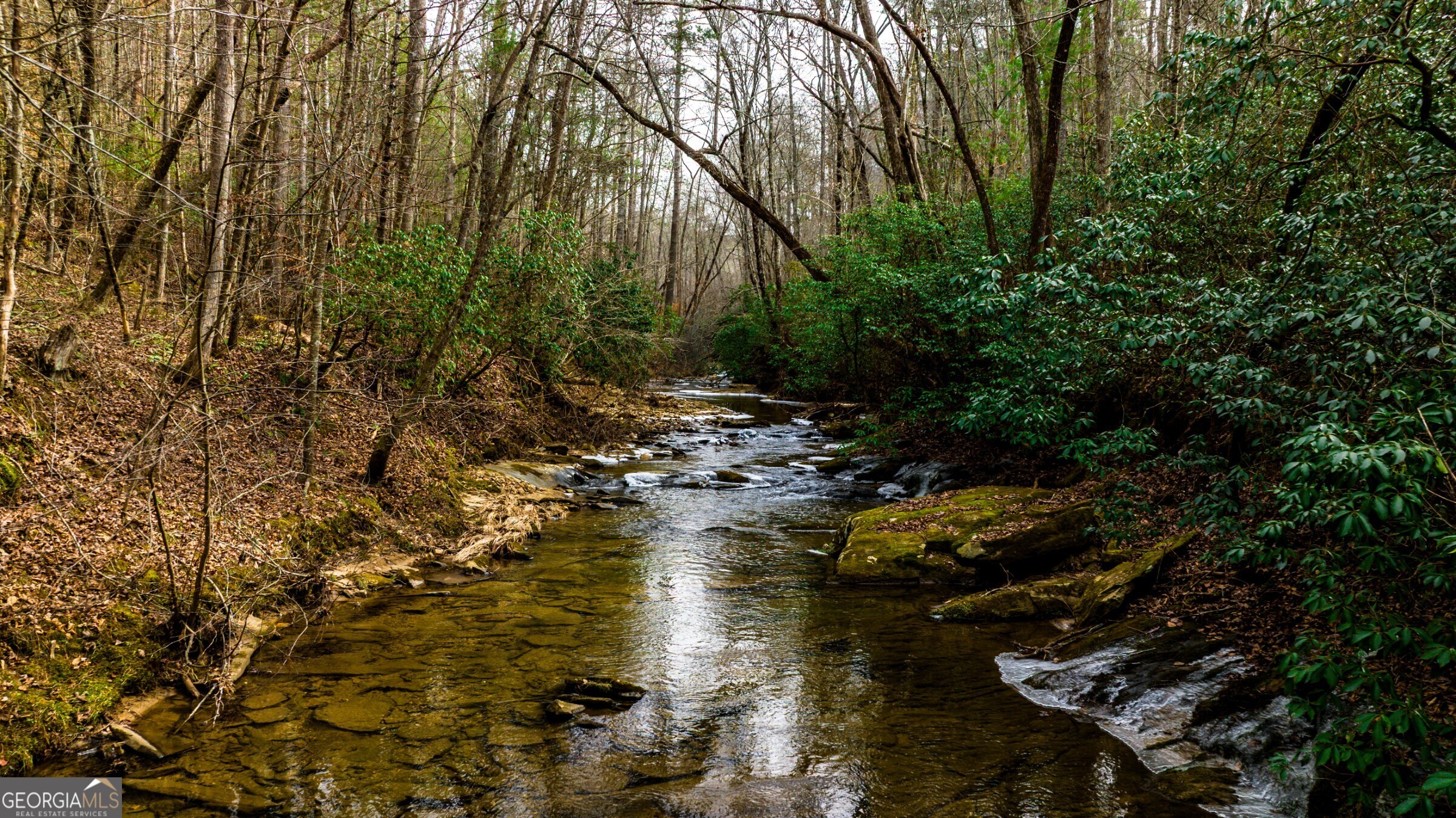 0 Trout Farm Road Talking Rock, GA 30175 - Photo 6 of 43 a view of a lake view