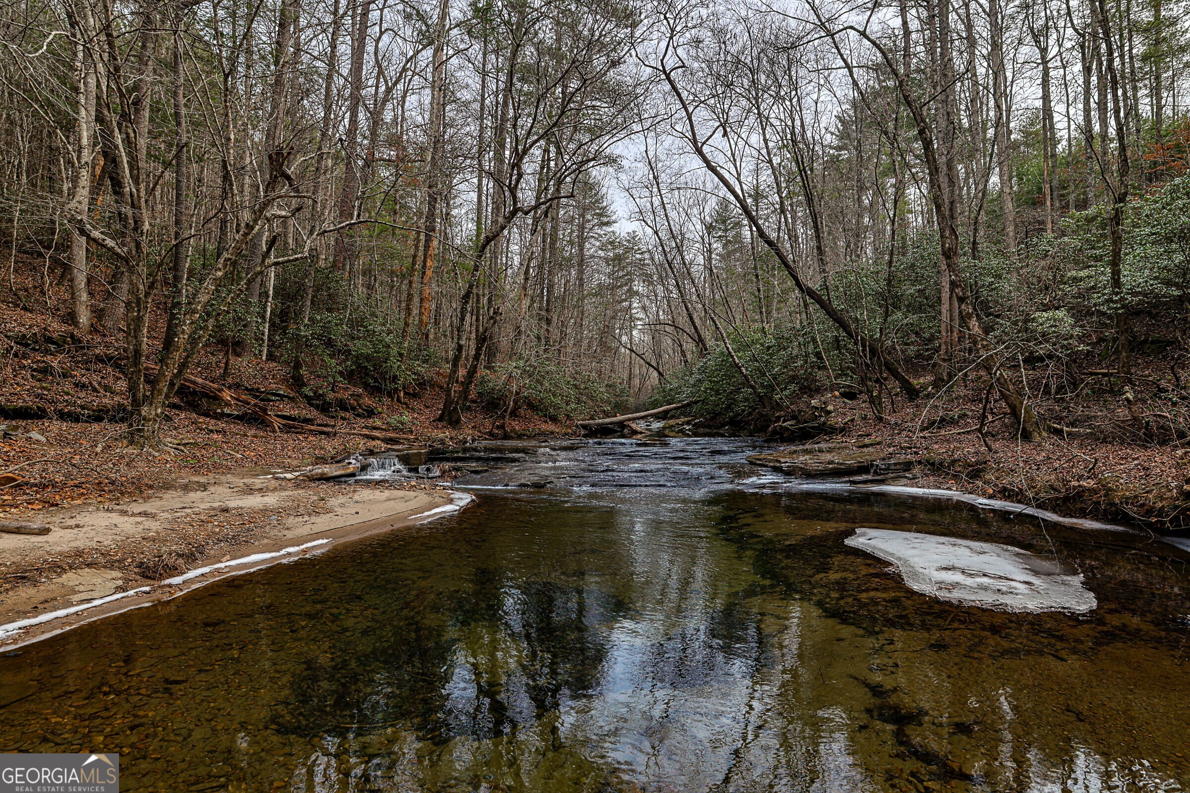 0 Trout Farm Road Talking Rock, GA 30175 - Photo 7 of 43 a view of a lake