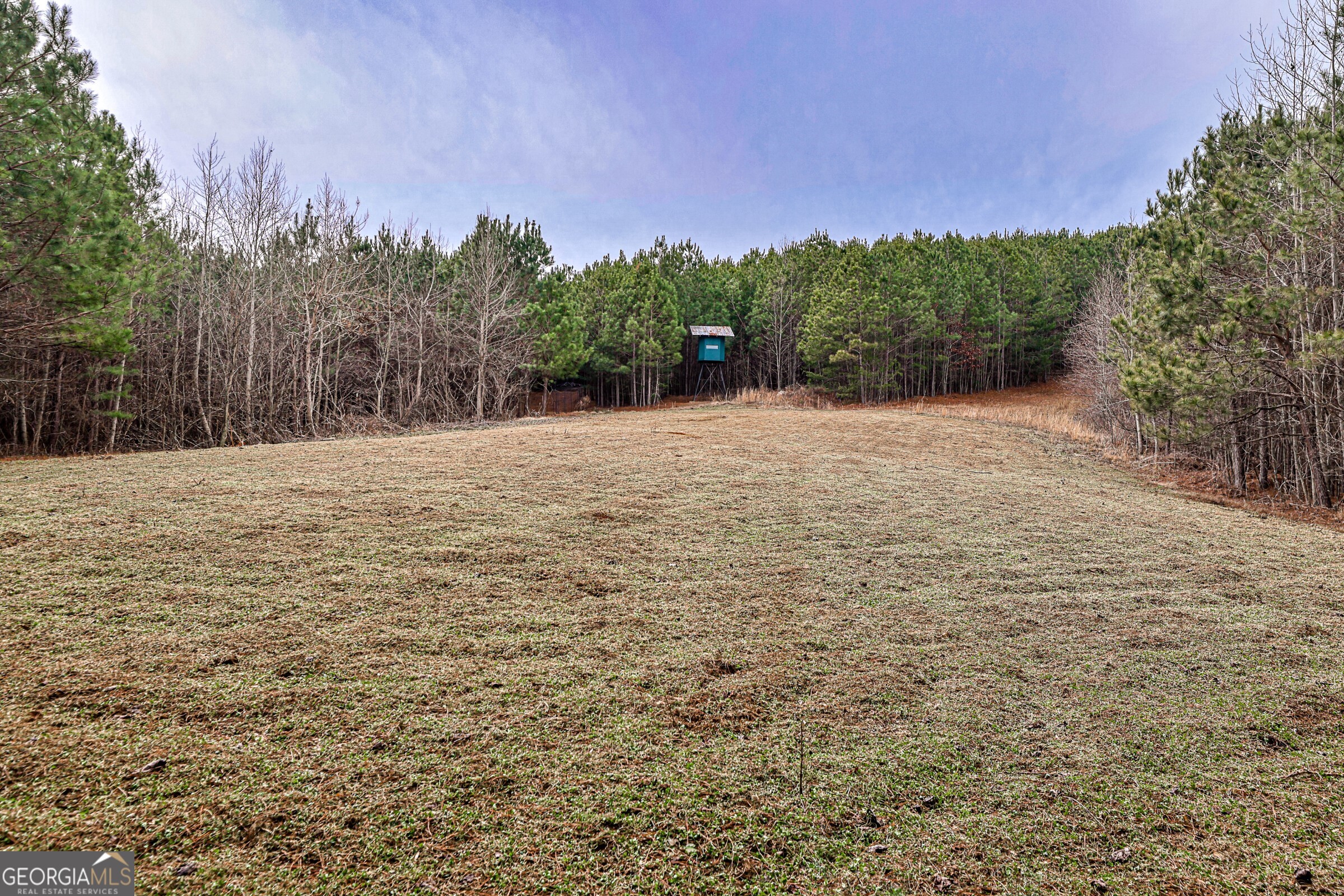 0 Trout Farm Road Talking Rock, GA 30175 - Photo 8 of 43