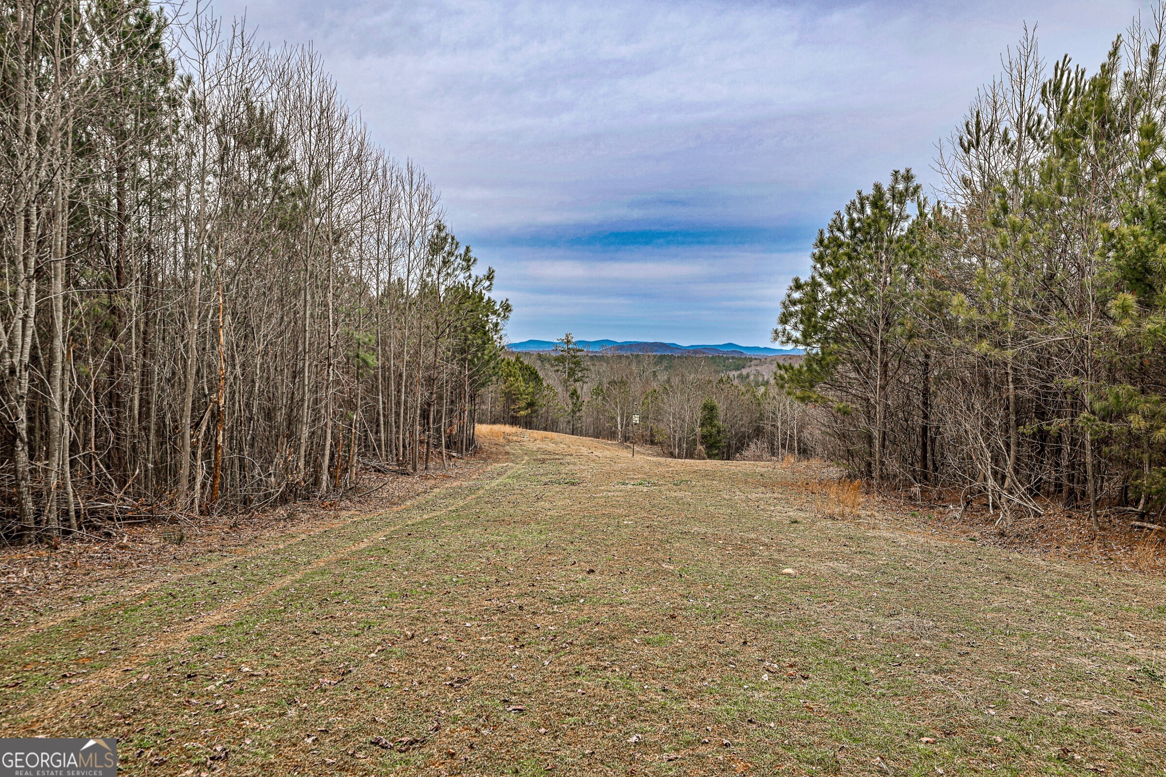0 Trout Farm Road Talking Rock, GA 30175 - Photo 9 of 43 a view of large trees with wooden fence