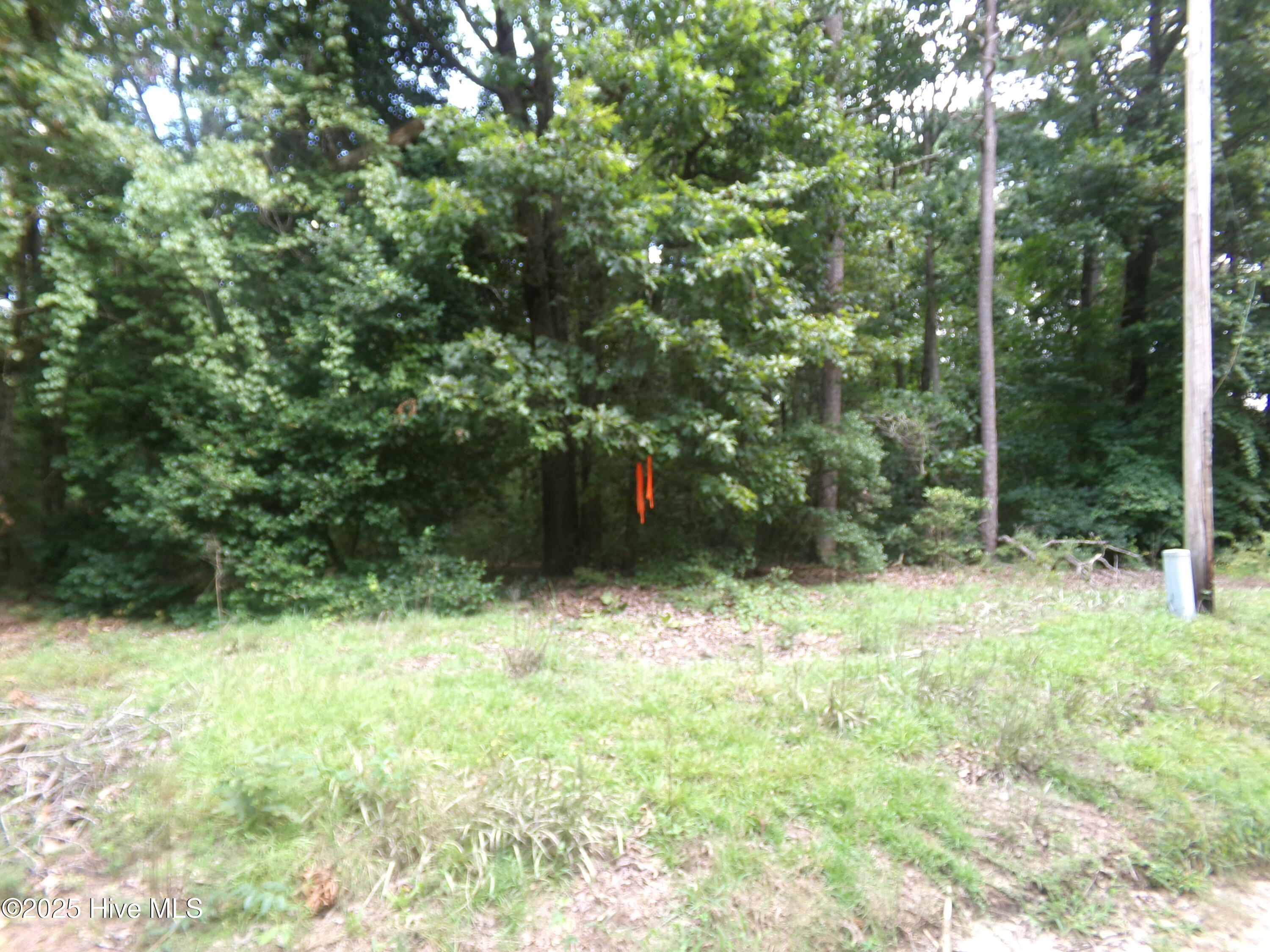 Lot 37 Plantation Road Elizabethtown, NC 28337 - Photo 1 of 3 Look for survey tape