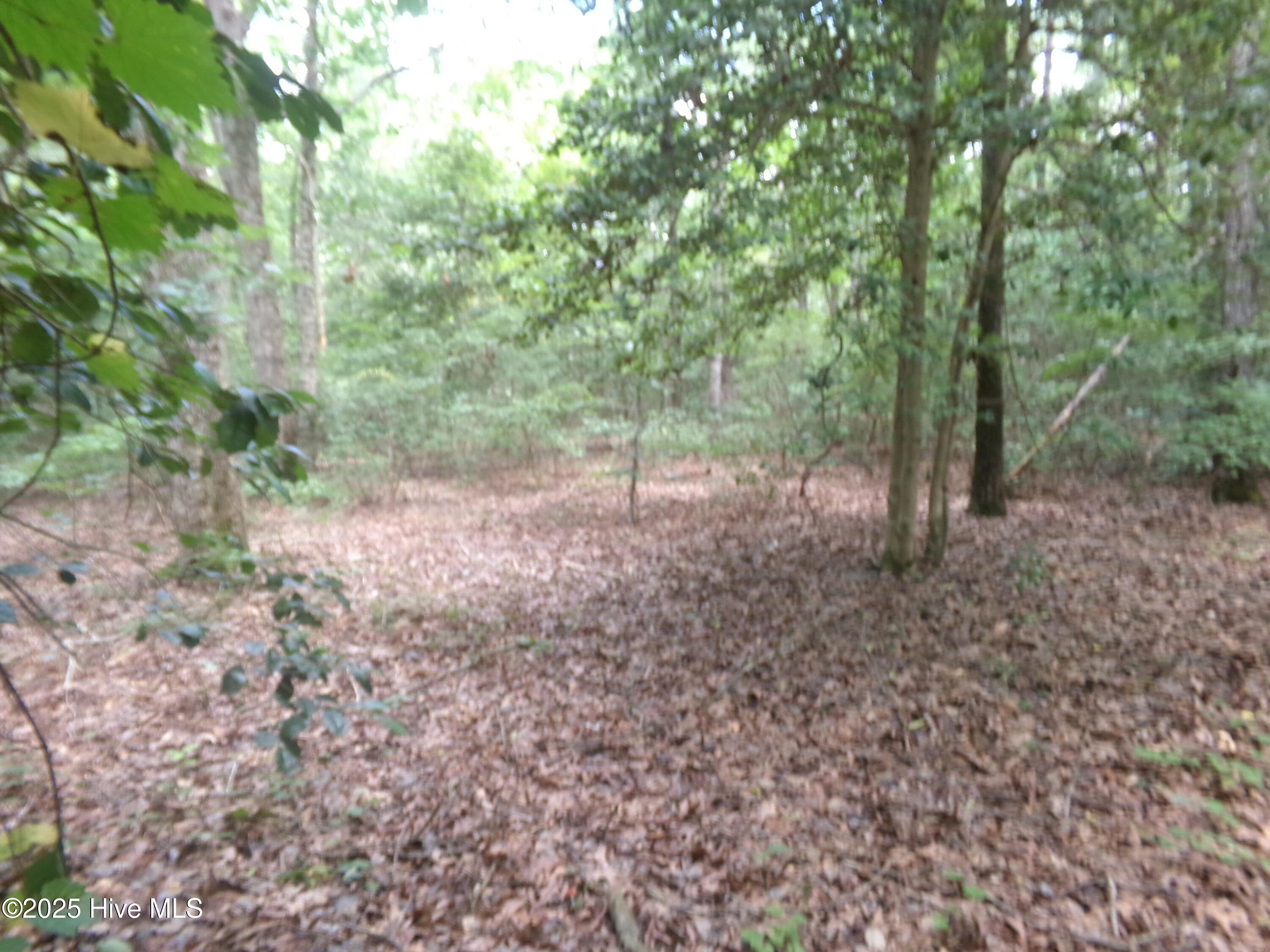 Lot 37 Plantation Road Elizabethtown, NC 28337 - Photo 2 of 3 Nice place for a home