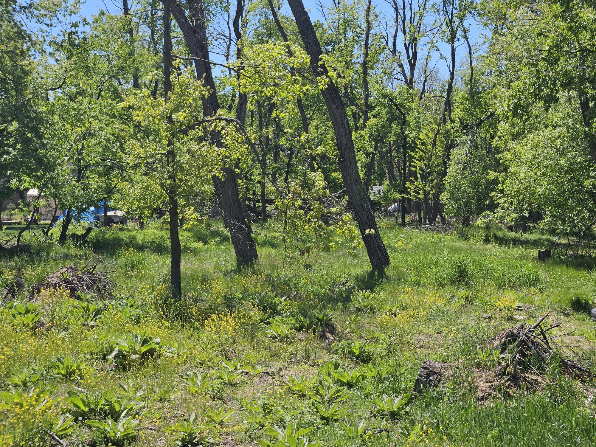 V/l Anderson Road Montague, MI 49437 - Photo 3 of 4 #2