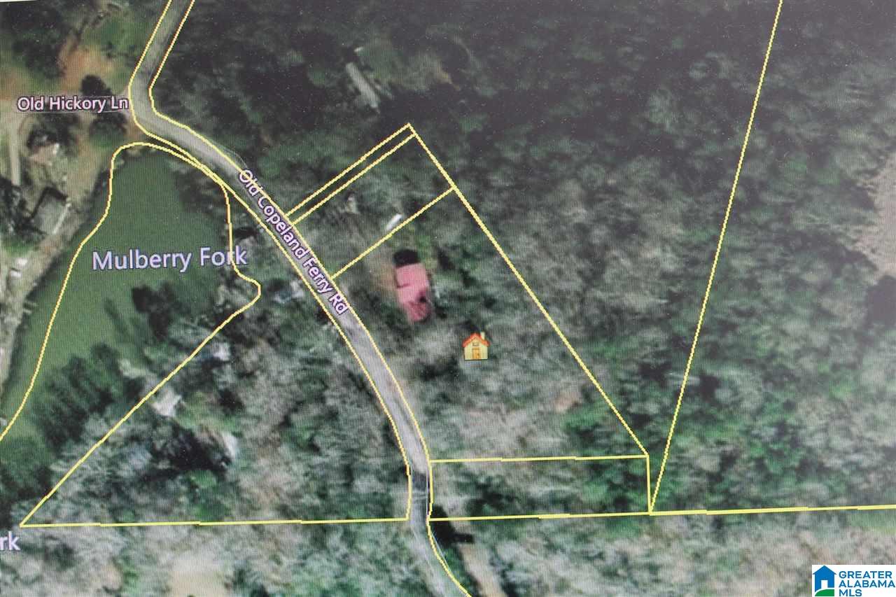 321 Old Copeland Ferry Road Quinton, AL 35130 - Photo 1 of 1 Gallery Image 1