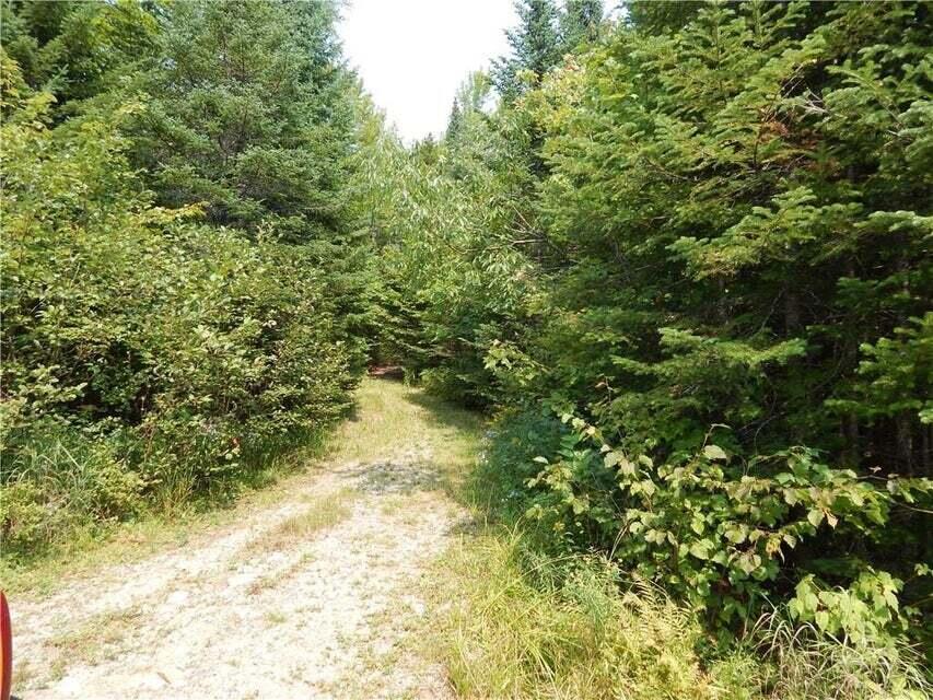 574 Salem Road Phillips, ME 04966 - Photo 19 of 24 tote roads
