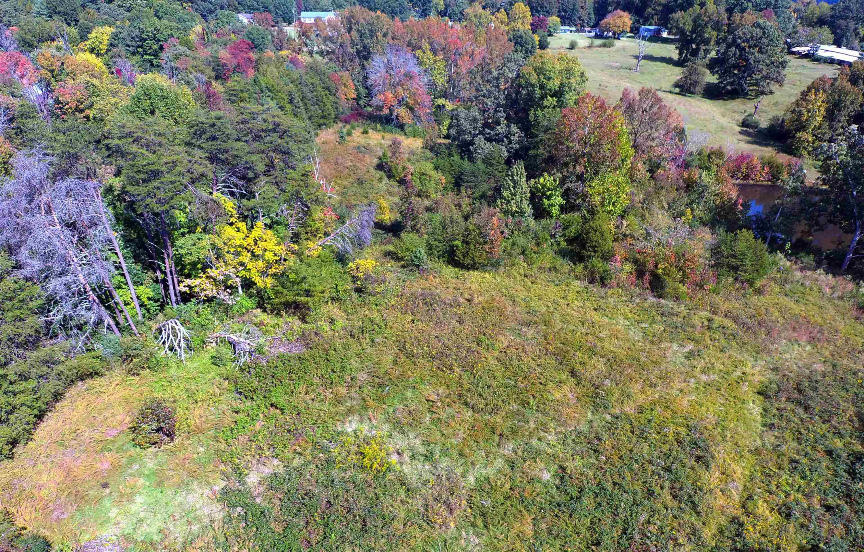 0 Bayberry Road Reidsville, NC 27320 - Photo 5 of 6 Photo 5