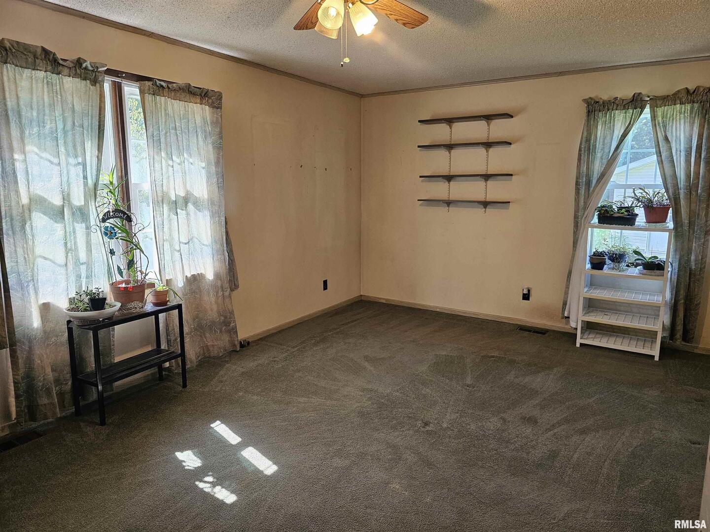 4864 Boaz Road Grand Chain, IL 62941 - Photo 17 of 32 en empty room with windows