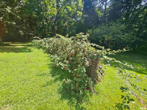 a view of yard with green space