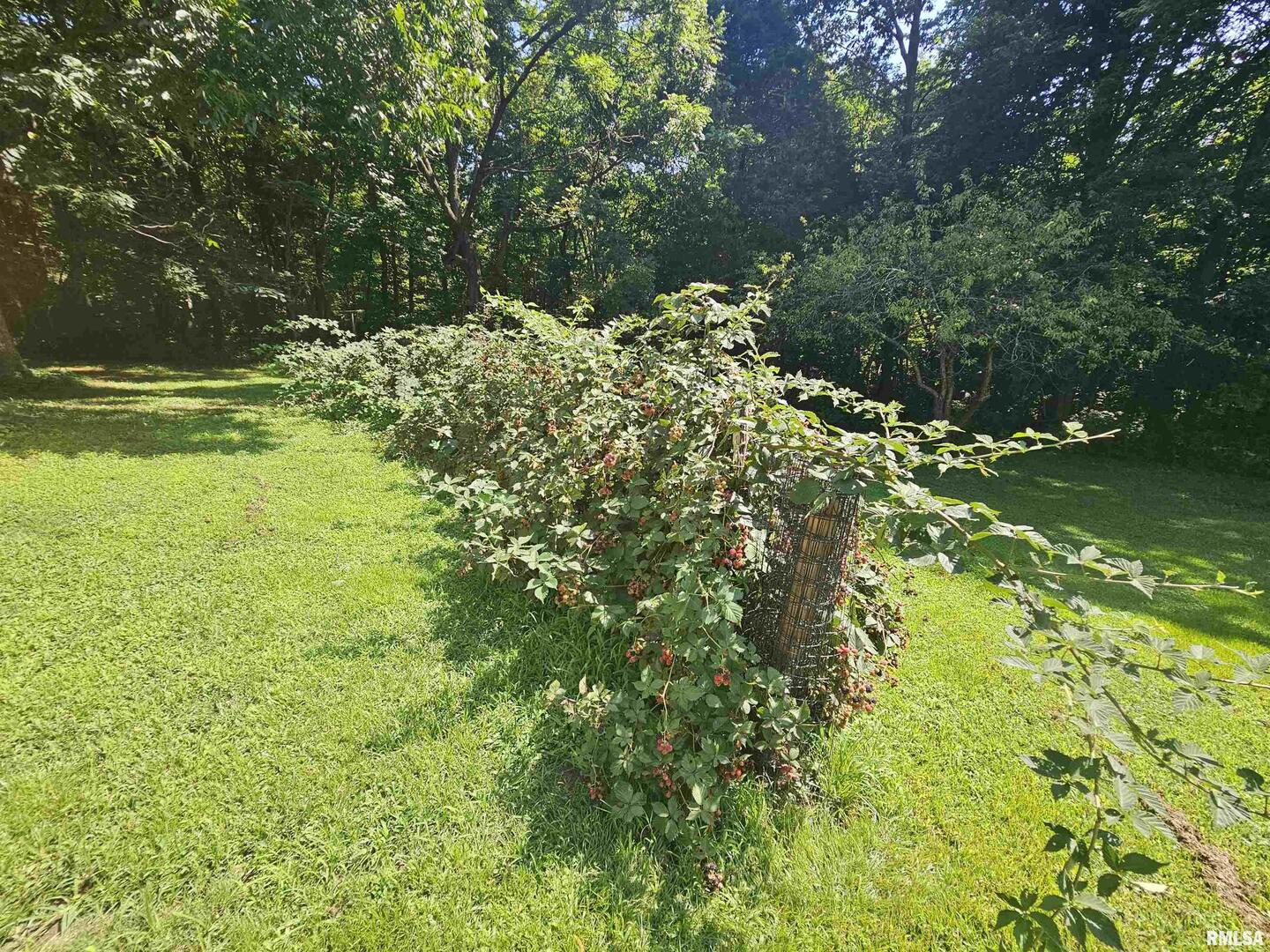 4864 Boaz Road Grand Chain, IL 62941 - Photo 31 of 32 a view of yard with green space