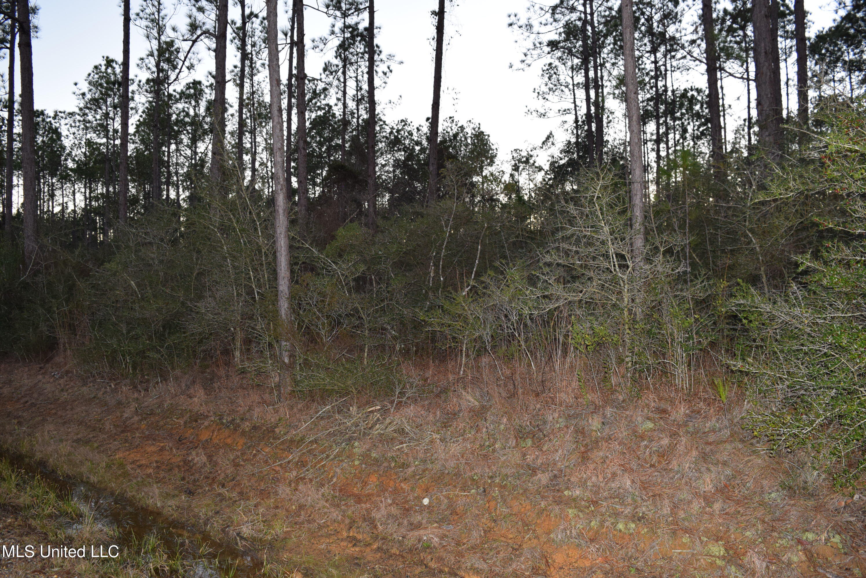 0 J J Road Kiln, MS 39556 - Photo 2 of 10 DSC_0093