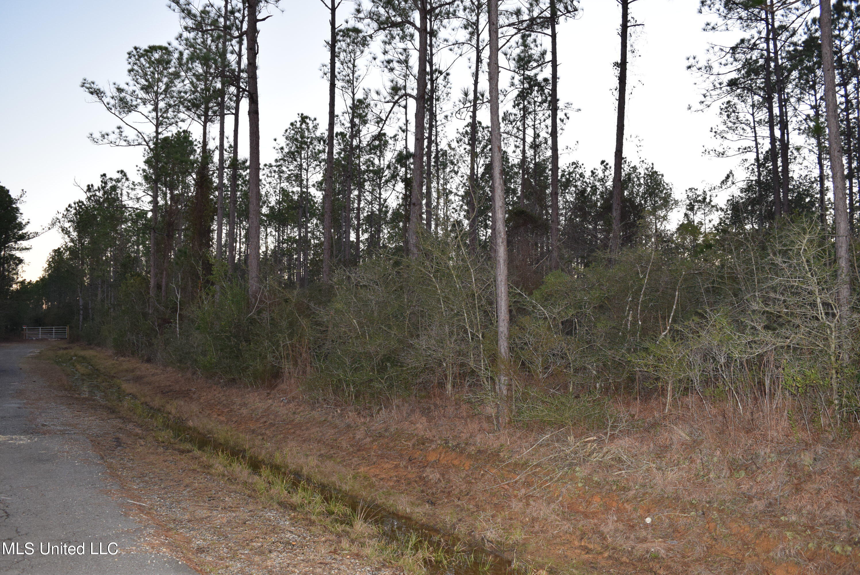 0 J J Road Kiln, MS 39556 - Photo 3 of 10 DSC_0094