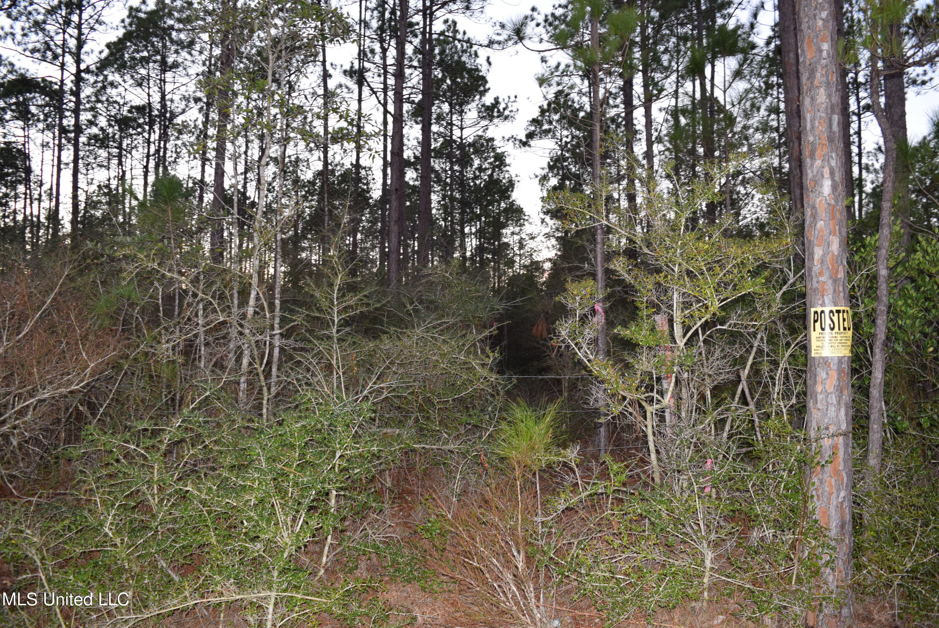 0 J J Road Kiln, MS 39556 - Photo 4 of 10 DSC_0095