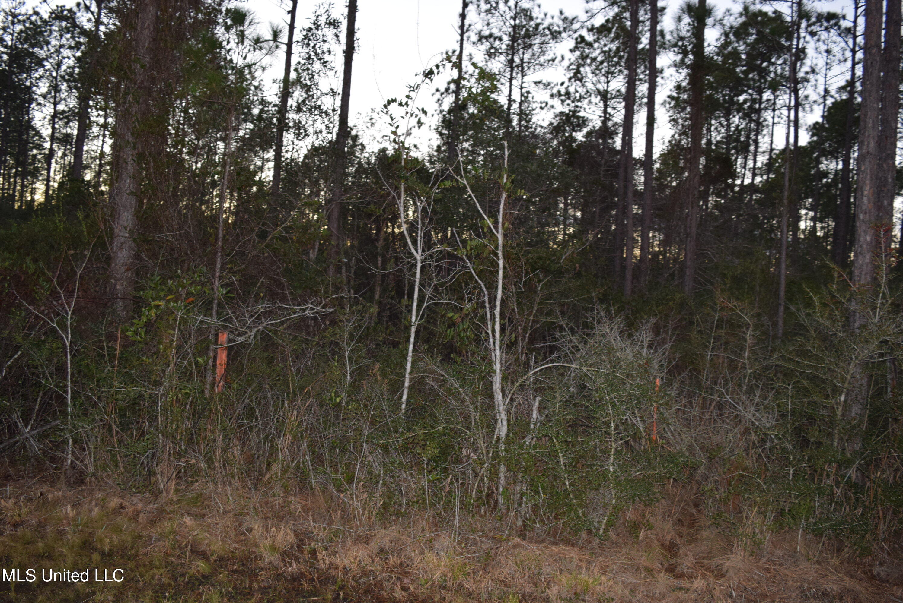 0 J J Road Kiln, MS 39556 - Photo 10 of 10 DSC_0103