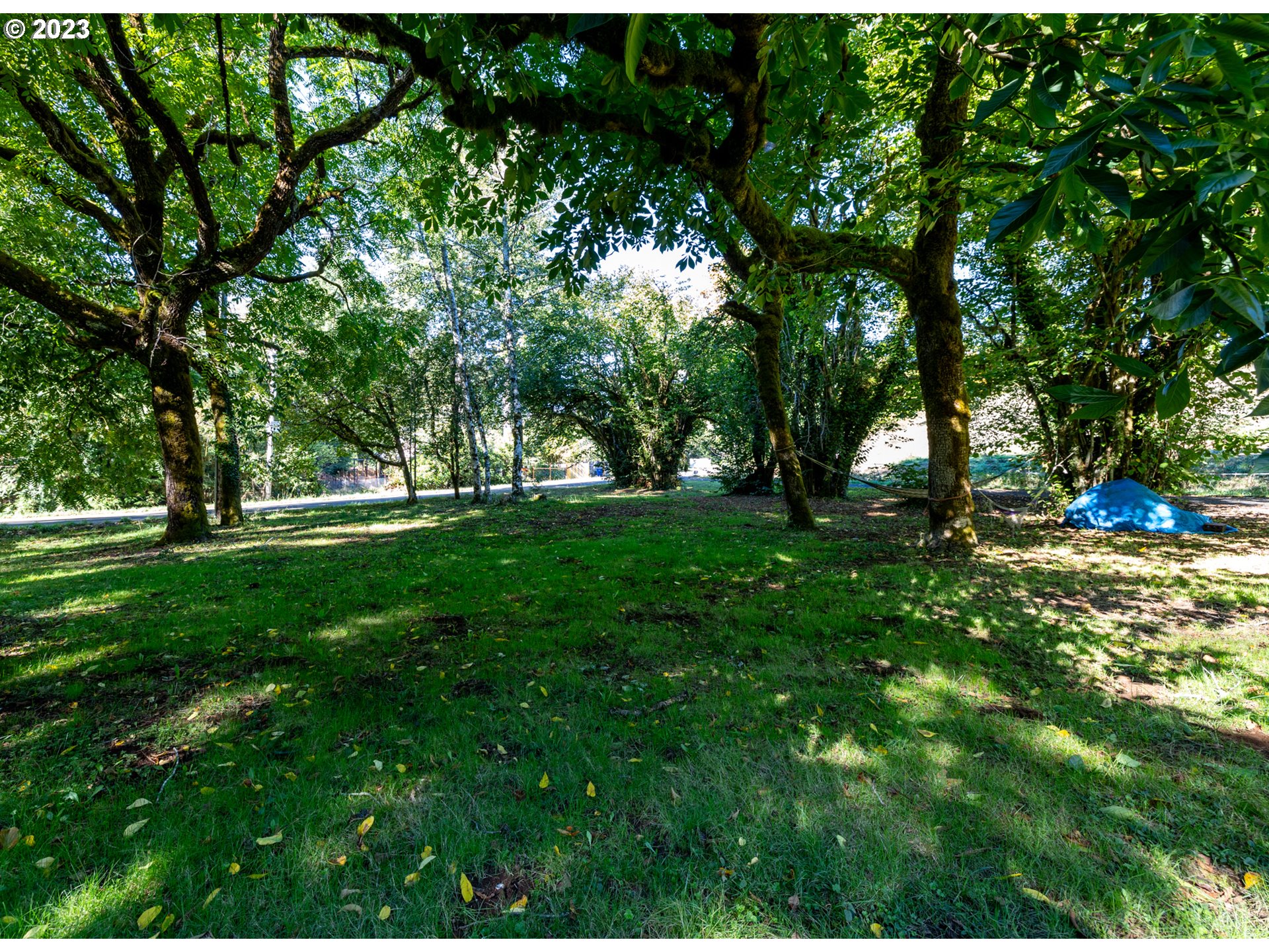 559 North Bear Creek Road Otis, OR 97368 - Photo 24 of 31