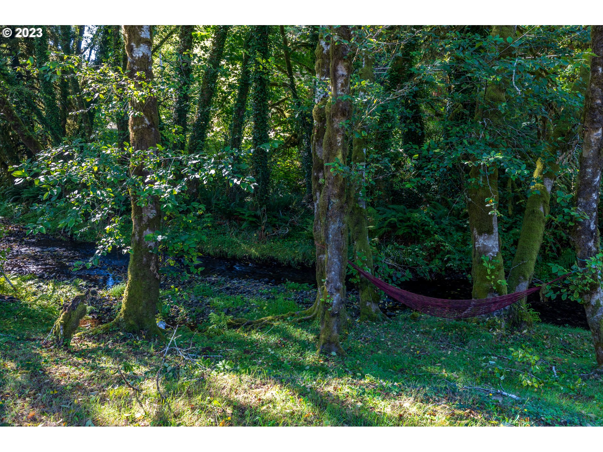 559 North Bear Creek Road Otis, OR 97368 - Photo 5 of 31