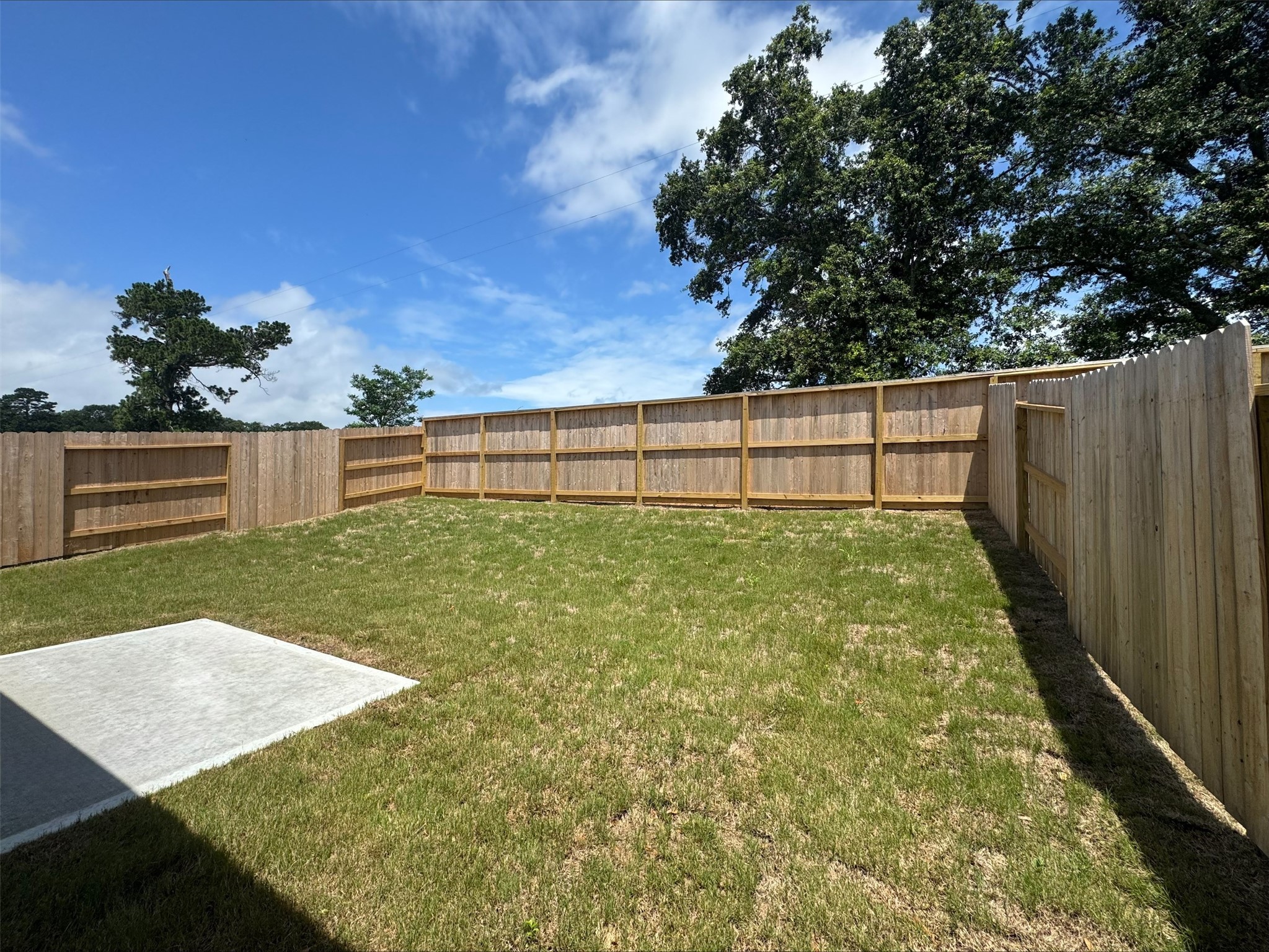 5882 Mercer Street Conroe, TX 77303 - Photo 10 of 10
