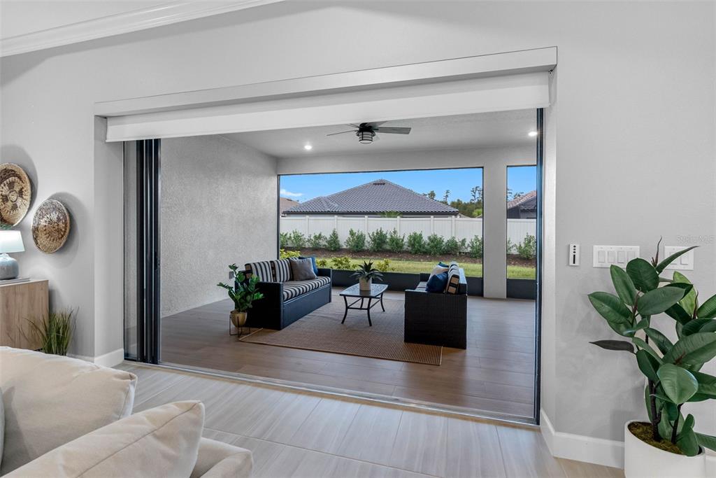 4795 Freccia Loop Wesley Chapel, FL 33543 - Photo 31 of 51 a living room with furniture and a potted plant