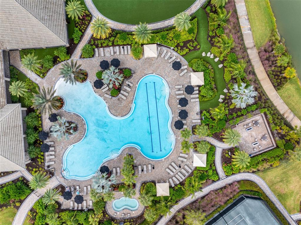 4795 Freccia Loop Wesley Chapel, FL 33543 - Photo 50 of 51 an aerial view of a swimming pool patio and outdoor seating