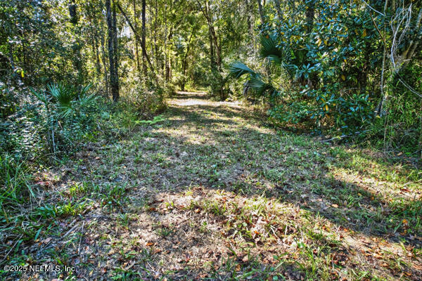 a view of yard with green space