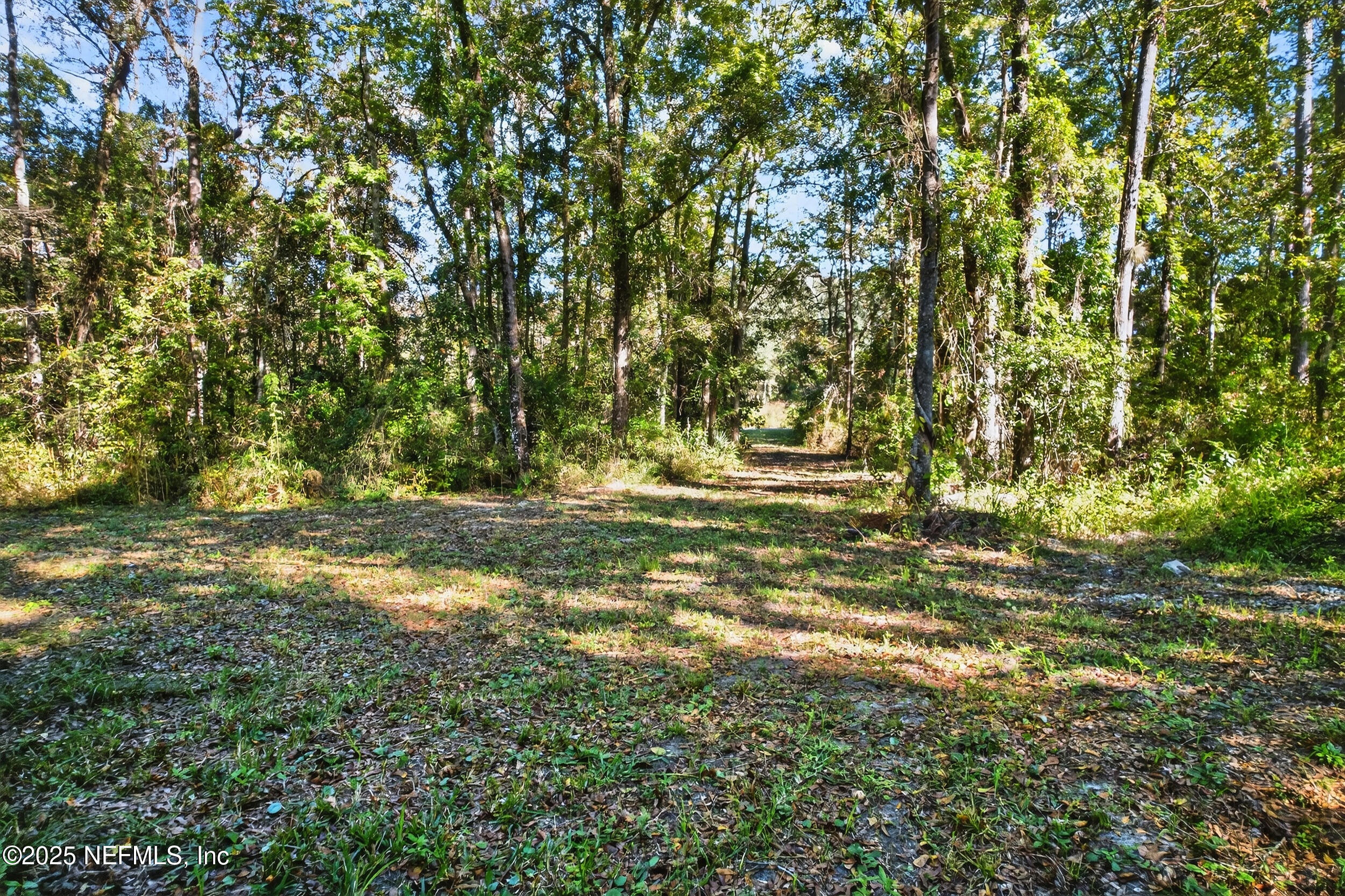 16082 Ressie Drive West Jacksonville, FL 32218 - Photo 4 of 7 a view of outdoor space with a lake view