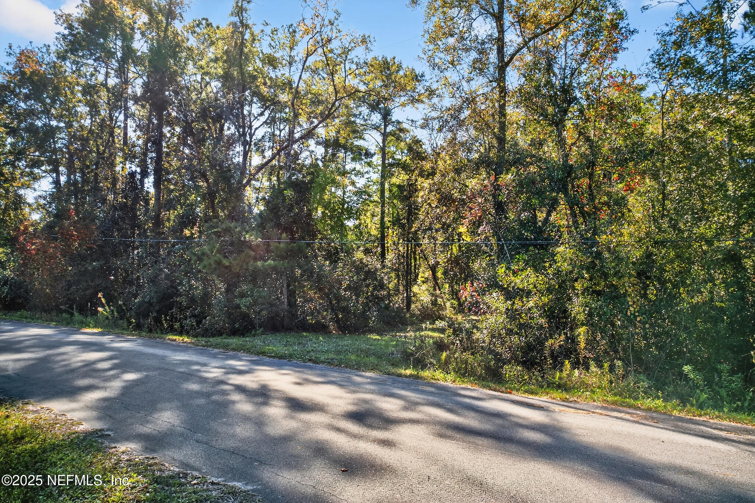 16082 Ressie Drive West Jacksonville, FL 32218 - Photo 5 of 7 a view of a yard with a tree