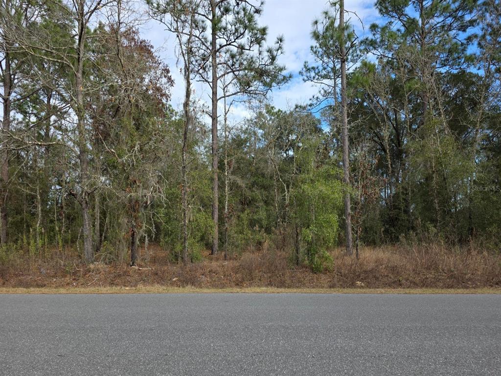 Southwest 140th Court Ocala, FL 34481 - Photo 5 of 5