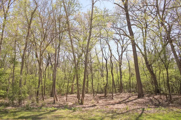 $57,900 | 910 Echo (lot 6) Trail, Marengo, IL 60152