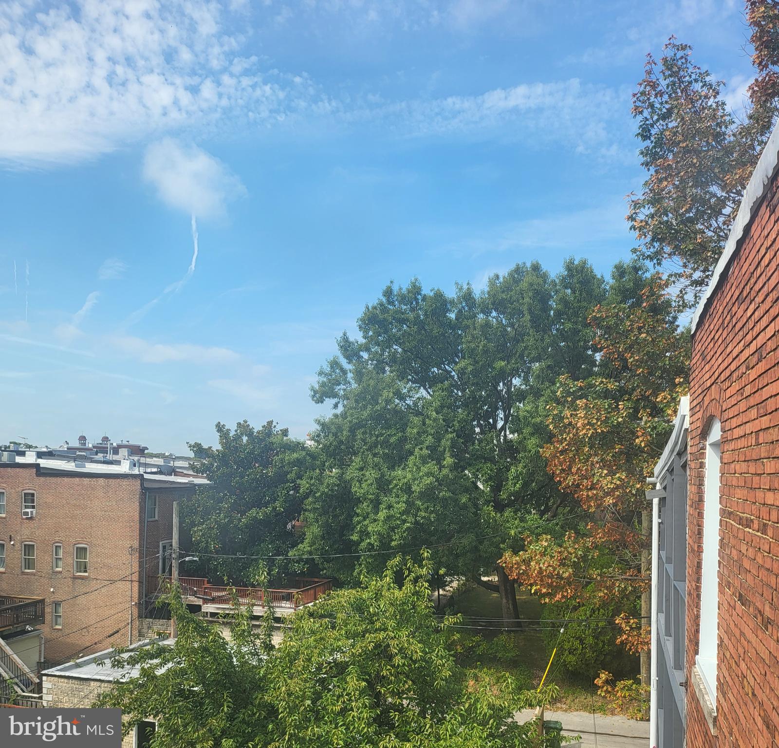 2012 Mt Royal Terrace, Unit 4 Baltimore, MD 21217 - Photo 37 of 55 Autumn views
