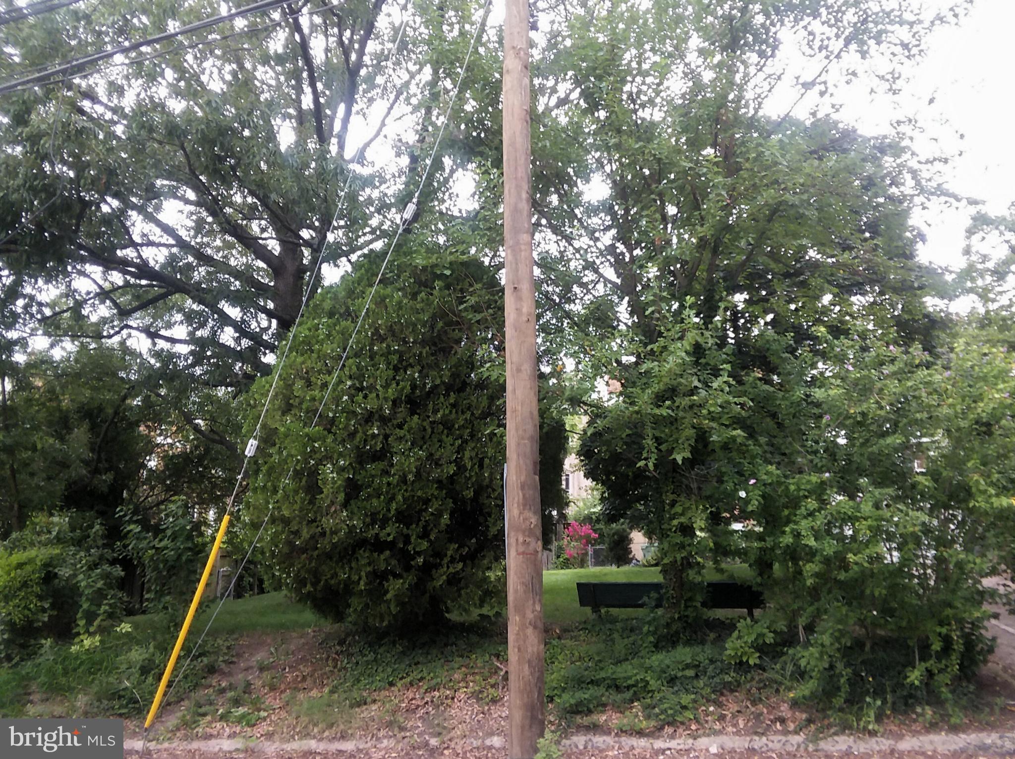 2012 Mt Royal Terrace, Unit 4 Baltimore, MD 21217 - Photo 39 of 55 a backyard of a house with plants and large trees