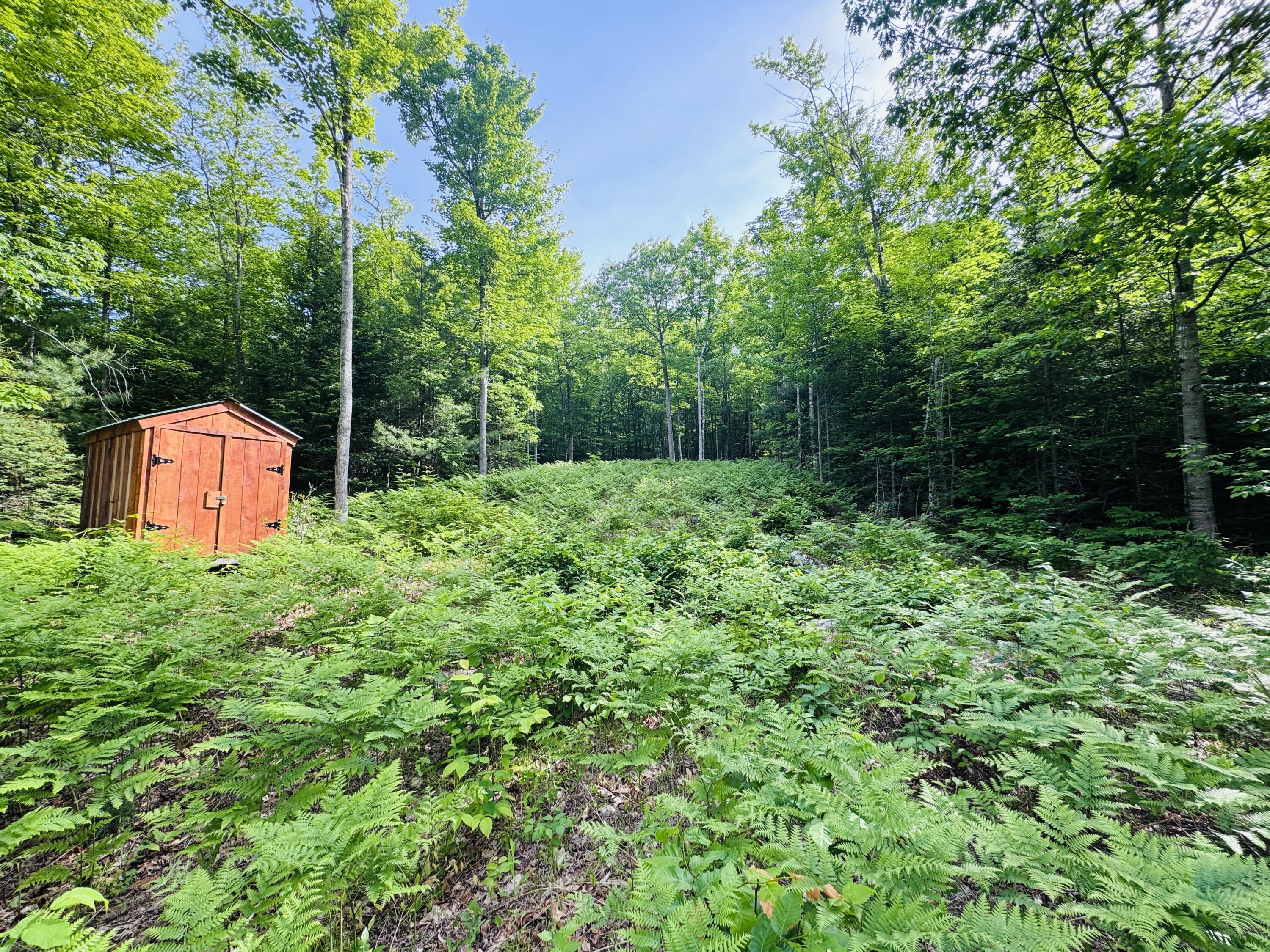 Lot #4 Mooseley Ridge Road Phillips, ME 04966 - Photo 8 of 20