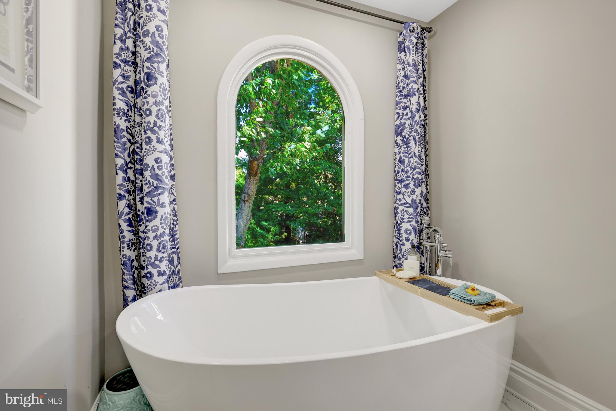 11110 Lakespray Way Reston, VA 20191 - Photo 29 of 60 Spaaaaaa day at home with your soaking tub & view.