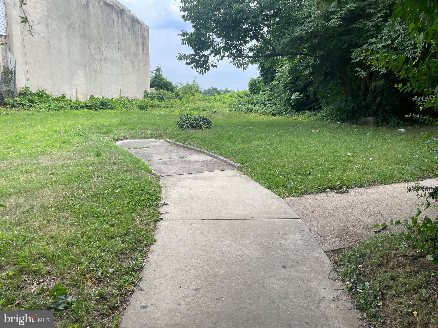 412 East Walnut Lane, Unit 4D Philadelphia, PA 19144 - Photo 3 of 4 Serene pathway through lush greenery.