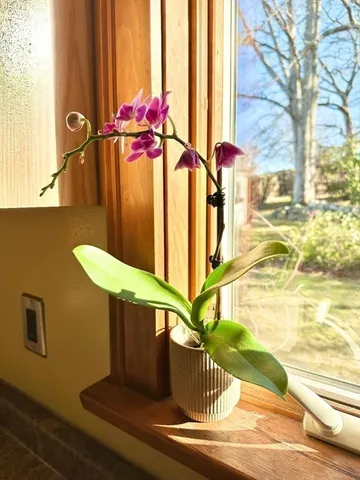 a view of a dining room with furniture and a table