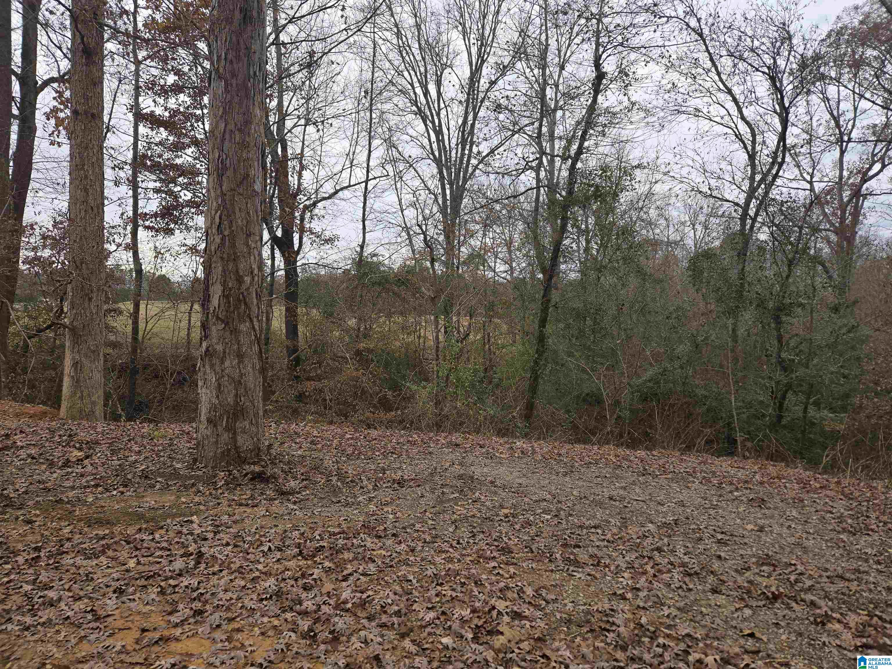 33299 Highway 79 Cleveland, AL 35049 - Photo 20 of 24