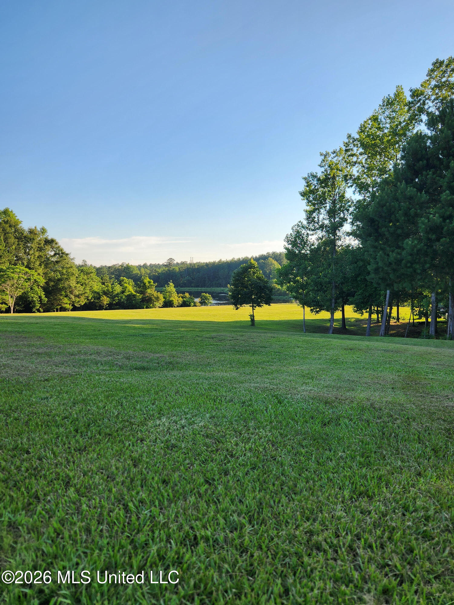 583 Burgetown Road Carriere, MS 39426 - Photo 18 of 25 17