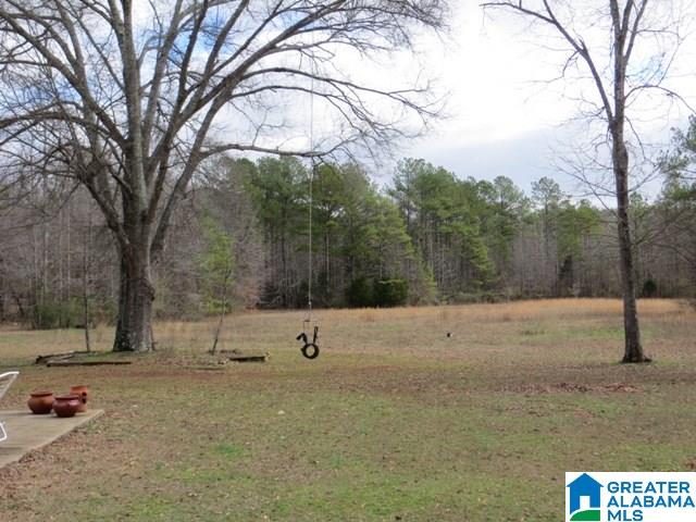 1566 Jackson Trace Road Talladega, AL 35160 - Photo 38 of 47