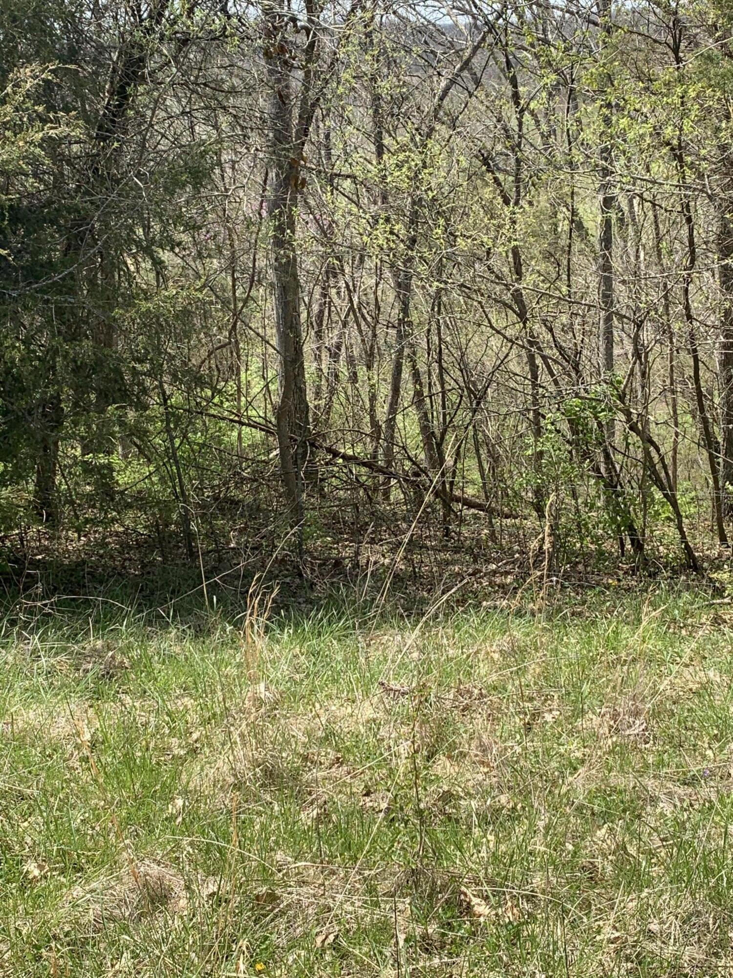 1000 Britton Road Harrodsburg, KY 40330 - Photo 55 of 88 780AE96F-4641-4112-9D48-1411A9E2FBB3