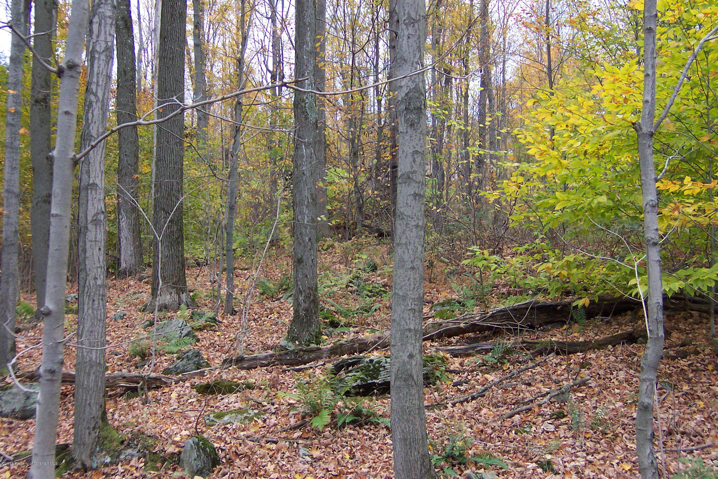 0 Stone Bridge Road Union Dale, PA 18470 - Photo 6 of 13 a backyard of a house