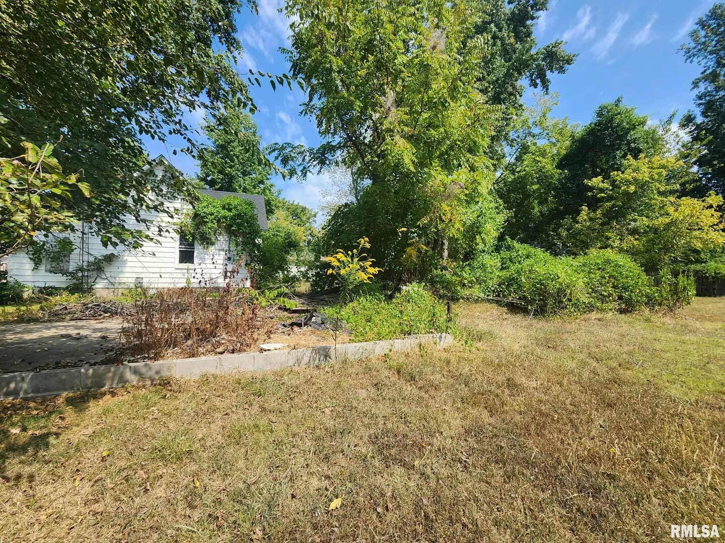 600 South 25th Street Herrin, IL 62948 - Photo 5 of 15 a view of a yard with plants and large trees