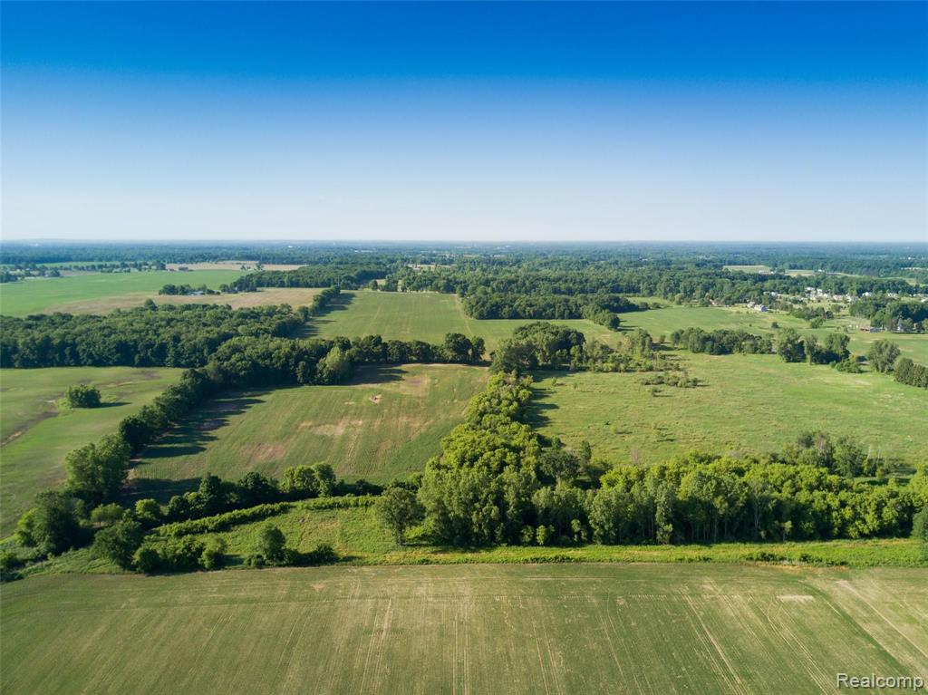 0 North Gregory Road Fowlerville, MI 48836 - Photo 22 of 49