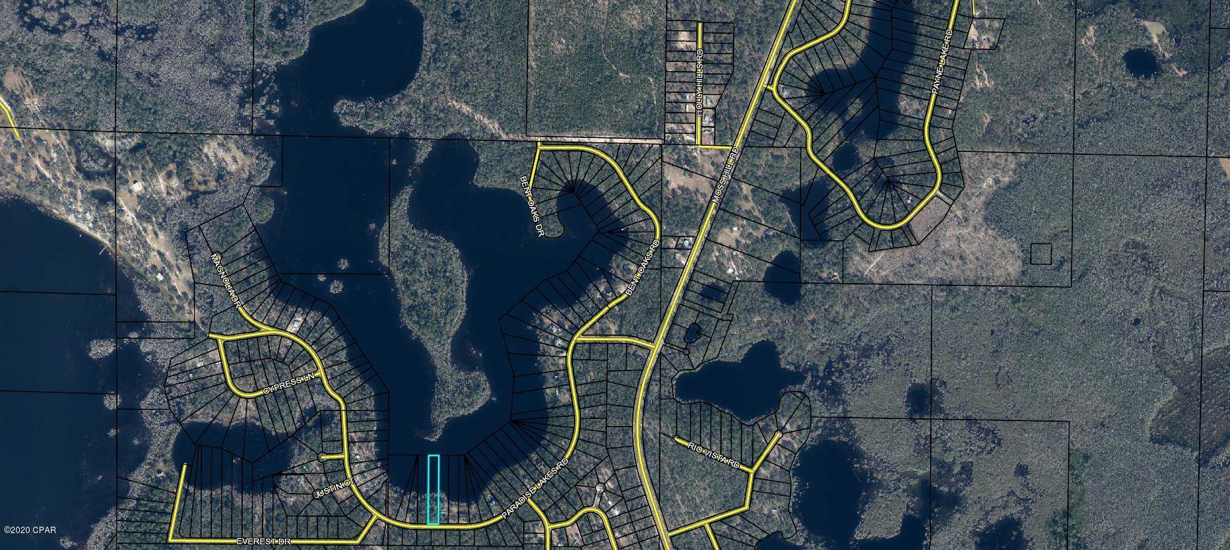 Lot #4 Paradise Lakes Road Chipley, FL 32428 - Photo 10 of 10