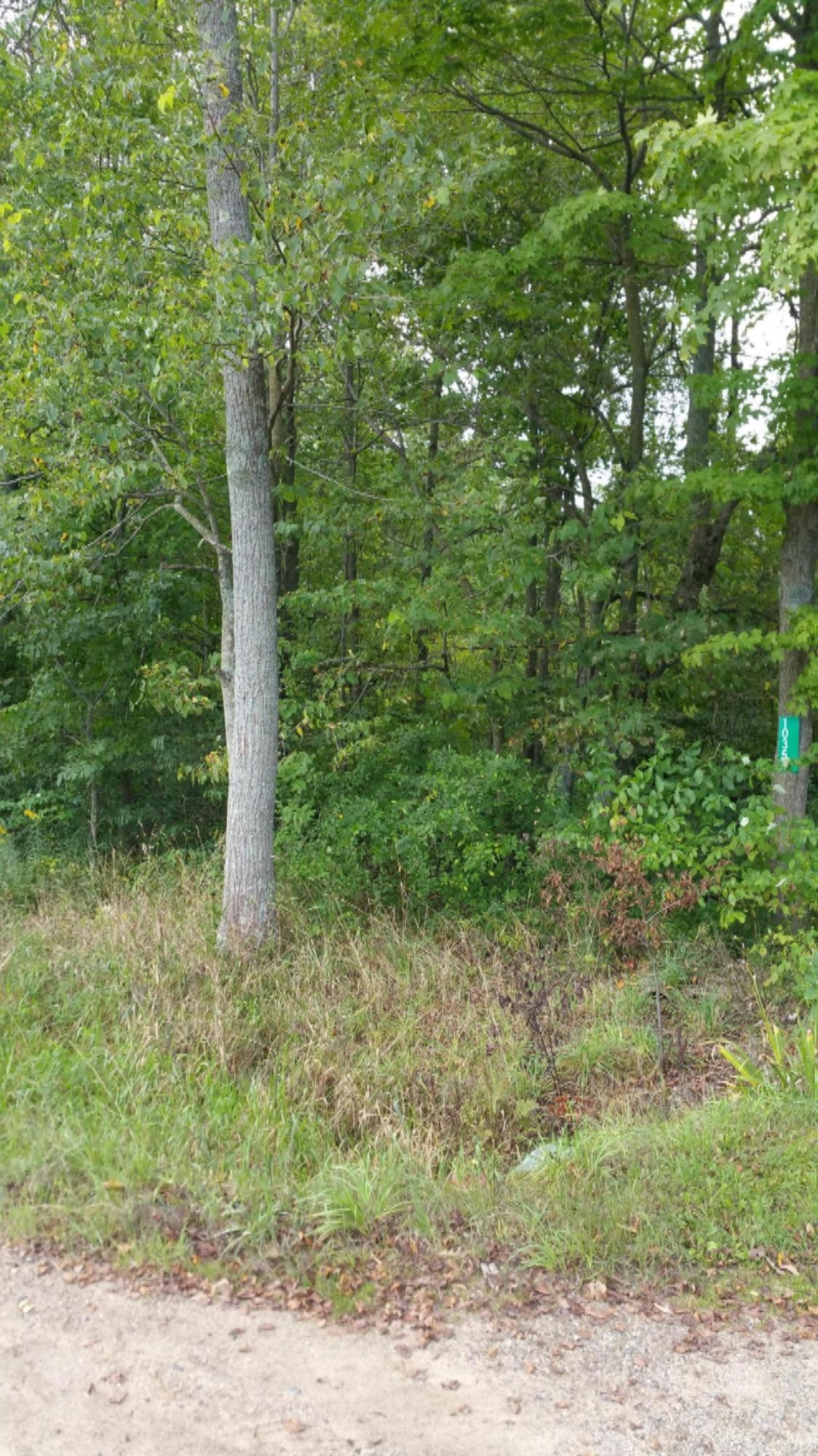 Sparks Road Belding, MI 48809 - Photo 2 of 6 2015-09-12 10.25.16