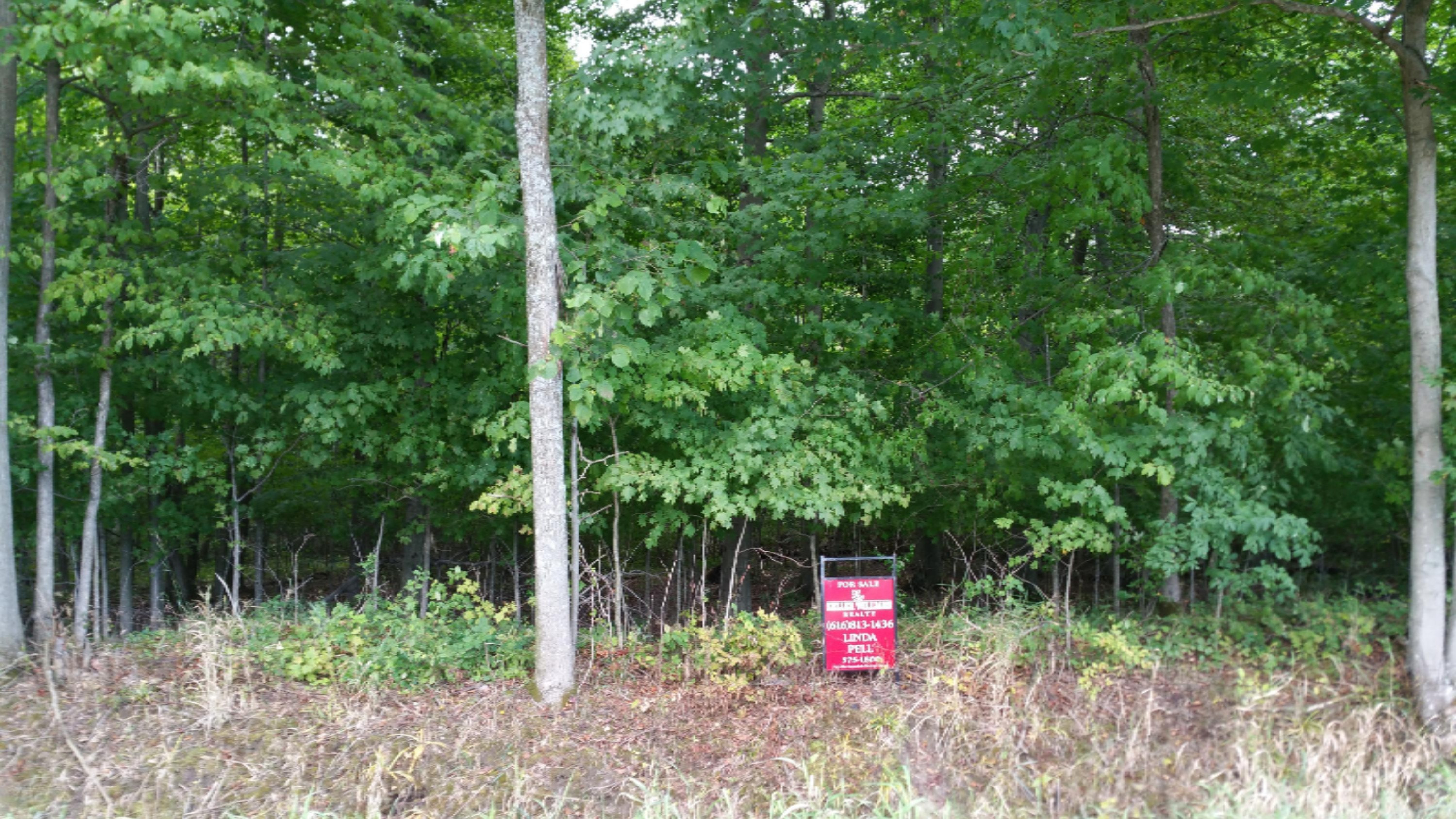 Sparks Road Belding, MI 48809 - Photo 3 of 6 2015-09-12 10.21.30