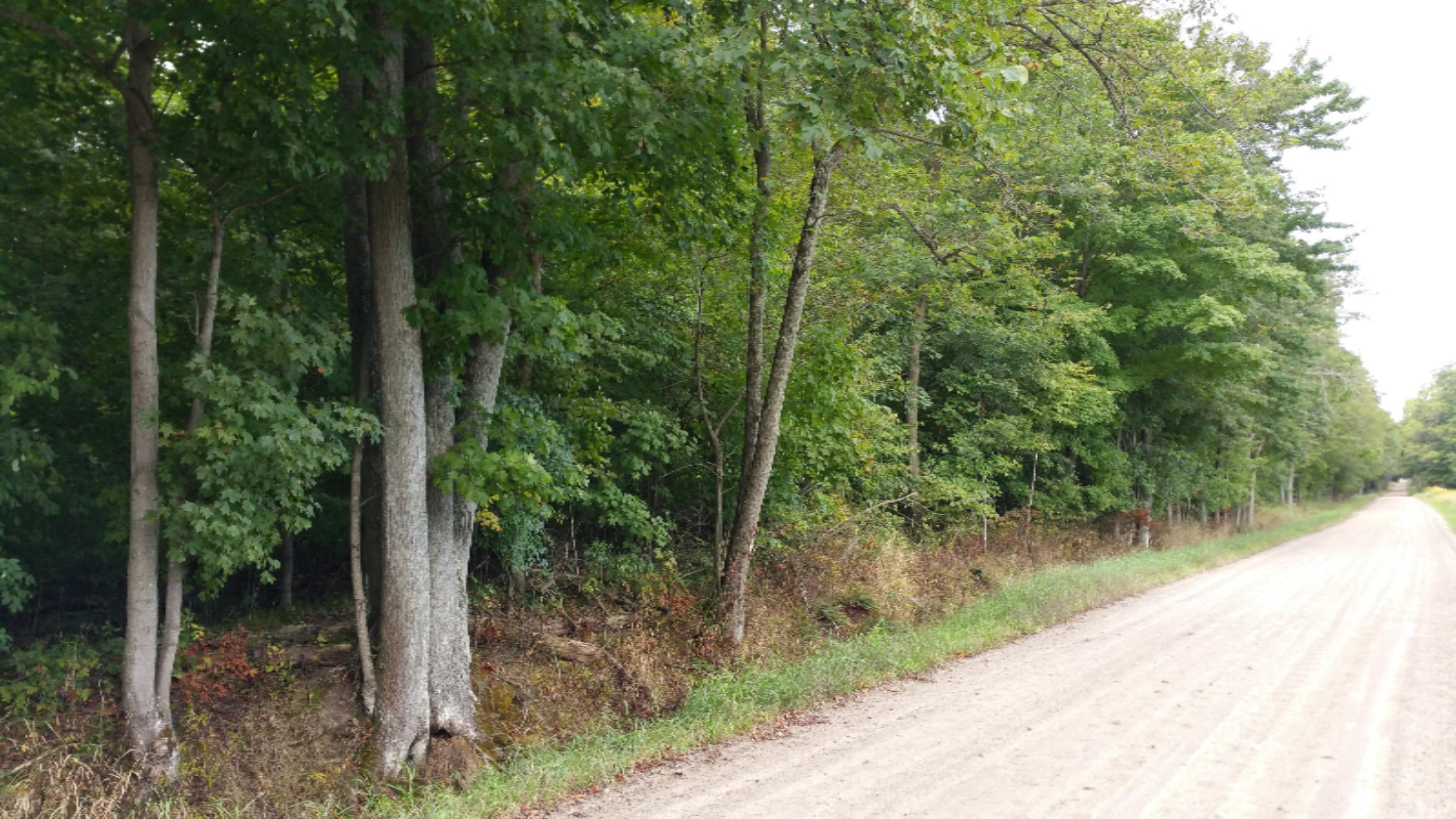 Sparks Road Belding, MI 48809 - Photo 5 of 6 2015-09-12 10.21.38