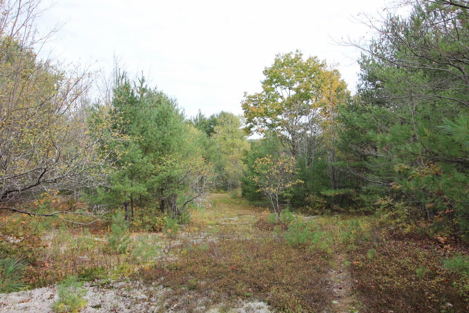 159 East Andover Road Rumford, ME 04276 - Photo 56 of 68 Trail systems