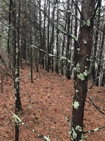 a view of outdoor space