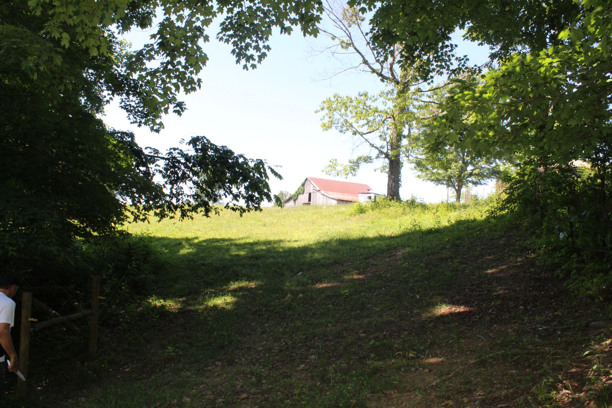 0 Hall Road Greenbrier, TN 37073 - Photo 5 of 28 a view of an outdoor space and yard