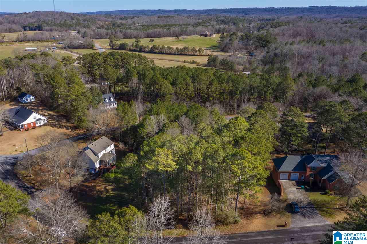 0 Scenic Trail, Unit 1 Oneonta, AL 35121 - Photo 1 of 18
